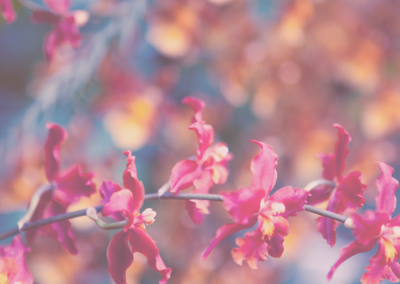 如何轰炸小三电话